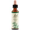 SCHWABE PHARMA ITALIA Srl Holly bach orig 20 ml