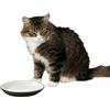 SPOT Piatto ovale per gatti bicolore grigio, piatto in ceramica con bordi bassi, piattino con forma adatta ai baffi e lati a basso profilo, ideale per cibo umido o secco per gatti, lavare solo a mano