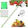 seOSTO Raccogli Frutta con Manico telescopico, 4,2 m, per Ciliegie, Diametro 16 cm, raccogli Mele, con Sacchetto di Cotone, raccogli Ciliegie, prugne per Reaching Inaccessible Places in Fruit Trees