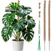 Tolesum Tutore per Piante Monstera 2x 60 cm - Palo di Muschio Pieghevole in Fibra di Cocco con Anima in Alluminio, Supporto Modellabile per Piante Rampicanti da Interno, Set Completo con Legacci da Giardino