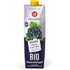 Höllinger Succo di Ribes Nero Biologico Premium, Never from Concentrate, Ricco di Vitamina C
