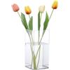 Segus Vaso di Acrilico Trasparente, 12x25cm Vasi per Fiori in Acrilico, Moderni, Rettangolare, Infrangibili, Leggero, per Composizioni Floreali
