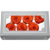 FORTTS Rosa conservata di grado A 5-6 cm, rose eterne naturali di alta qualità, rosa immortale dura da 3 a 5 anni, per mamma, San Valentino, compleanno, matrimonio, decorazione per casa, feste, fai da te