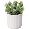 Hollyone Piante grasse artificiali decorative, pianta artificiale in vaso, piante grasse artificiali realistiche, piante da appartamento artificiali succulente per bagno camera da letto soggiorno decorazione