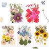 Gugxiom 100 pezzi di fiori secchi pressati Bellissimo set di fiori pressati veri per lavori artigianali, scrapbooking e custodie per telefoni (Sole cocente)