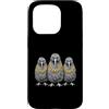 Cool 3 Hip Hop Trio Street Gold Chain Fu Custodia per iPhone 15 Pro Kiwi Bird Rap Old School Retro Streetwear anni '80 '90 Tre