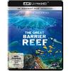 4K Content Hub / Lighthouse Home Enterta Great Barrier Reef 4K - Ultimate Freedive (4K Ultra HD) [Blu-ray] [Edizione: Germania]