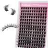 FADLASH Falsi Cils a Grappolo - Natural D Curl Lash Clusters Easy Application Under Lashes Lightweight Volume DIY (WL02 Mix 10-16mm)