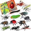 YeoNational&Toys Set da 13 pezzi di giocattoli insetti realistici con libretto educativo e scatola regalo, falsi insetti per bambini, insetti di plastica per Halloween, decorazione per feste, vassoio sensoriale, gioca