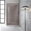 Aqua Roy The Shower Aqua Roy INOX, Misura 90 cm da 70/80/90/100/110/120, Paravento doccia a passeggio, Box doccia, Vetro Bronzo 8 mm, Acciaio Inox (90x195 cm)