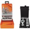 Projahn Set di filettature combinate (15 pezzi, set di maschi da taglio + 8 pezzi, in cassette metalliche) 99989