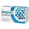 SCHWABE PHARMA ITALIA SRL PEGASO GONFIORE 10 FLACONCINI DA 10ML