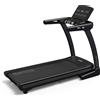 Toorx Home MIRAGE S70 HRC MOTORE AC TAPIS ROULANT con fascia cardio inclusa nastro 2 mm - APP READY 3.0 compatibile con Zwift, Kinomap e I-console - inclinazione elettrica - piano corsa 153 x 54 cm - velocità 22 km/h - utente 150 kg. COD.MIRAGE-S70 TOORX