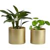Vixdonos Vasi da fiori da giardino in metallo, contenitori rotondi per piante grasse, confezione da 2 vasi per cactus con foro di drenaggio (15 cm + 17 cm, oro)