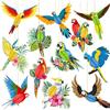 Fesnova 12 decorazioni per uccelli tropicali, in legno, pappagallo, uccelli tropicali, a nido d'ape, per esterni, feste estive, compleanni, decorazioni tropicali