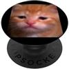 Cat Kitten Meme Funny Humor Graphics Foto di meme sfocata del gattino arancione triste divertente PopSockets PopGrip Adesivo