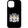 Cool 3 Hip Hop Trio Street Gold Chain Fu Custodia per iPhone 12 Pro Max Cat Rap Old School Retro Streetwear anni '80 '90 Tre