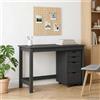Vidaxl Set scrivania e mobiletto su ruote MOSS 2 pcs Grigio