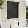 Vidaxl Persiana a rullo Antracite 80 x 100 cm Alluminio e poliuretano