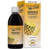 Desa Pharma Sauber System Life Drenante Anticellulite gusto ananas 500ml