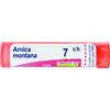 BOIRON Srl Boiron Arnica Montana Granuli 07Ch, Tubo 4g - Medicinale Omeopatico