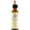 SCHWABE PHARMA ITALIA Srl Mustard - Fiore di Bach Originale n°21 - 20 ml