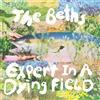 The Beths Expert in a Dying Field (CD) Album