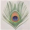 XTC Apple Venus - Volume 1 (CD) Album