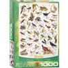 Empireposter puzzle da 1000 pezzi - Puzzle - Il mondo degli uccelli + Puzzle cornice in alluminio per 1000 pezzi