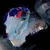 OPAL EMPIRE Opale Nero Naturale Grezzo Fire Opal Etiope 6,5 Ct 18x16 mm
