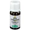 SANGALLI Srl CANNELLA OLIO ESSENZIALE 10ML