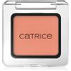 Catrice Art Couleurs 2 g