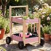ROBOTIME Carrello da giardino in legno per bambini, con 4 bicchieri e 4 provette idroponiche, annaffiatoio, 3 attrezzi da giardino, etichette per piante e schede di registro per piante, a partire dai