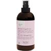 DERBE Srl HAIR MIST CAPELLI LISCI BOTANIT100M