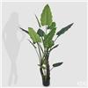 Enzo De Gasperi EDG Enzo De Gasperi Pianta Artificiale Alocasia con Vaso H180 cm