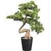 Gasper Bonsai Artificiale di Pino con Vaso in pvc 90x60 cm