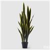 Enzo De Gasperi EDG Enzo De Gasperi Pianta di Sanseveria West con Vaso H140 cm