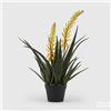 Enzo De Gasperi EDG Enzo De Gasperi Pianta con Vaso Aloe West H70 cm