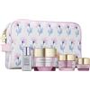 Estée Lauder Estée Lauder Resilience Summer Set