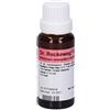 DR.RECKEWEG & CO. GmbH Reckeweg r17 gocce 22ml