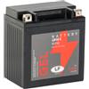 Landport Batteria 12V 11Ah per avviamento moto MG LB10-3