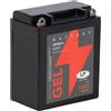 Landport Batteria 12V 12Ah per avviamento moto MG LB12A-4