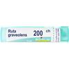 Ruta Grav BOI BOIRON® Ruta Graveolens (Boiron)*80 Granuli 200 Ch Contenitore Multidose 4 g