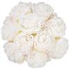 U'Artlines 20 peonie artificiali in seta, per casa, ufficio, matrimoni, feste, festival, bar, decorazione (bianco crema)