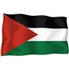 Akachafactory Lotto di 10 Adesivi x Auto, per Moto, Bandiera della Palestina palestinese Vinyl