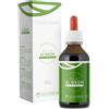 Zio Ecosalute Neem Olio 100 Ml Foglie