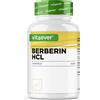 Estratto Di Berberina HCL - 120 Capsule Da 500 Mg - Berberina Naturale - Extra A