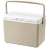 KQFCAZRE Box Frigo Rigido Isolato Contenitore Isotermico Rigido Plastica Rigida Frigo Isotermico con Maniglia per Campeggio, Picnic, Viaggio in Auto, Caffè Latte, 3L