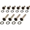 Screws4Bikes Set viti supporto parafango HD SOFTAIL 07-17 (5) NERO