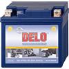 Delo Batteria Al Gel, Riempita YTX5L-BS 12V/5AH SAE 90A
